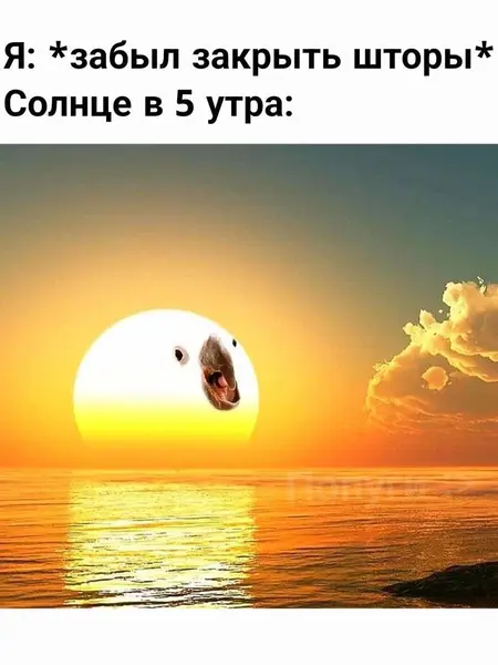 Когда забыл закрыть шторы, и солнце в 5 утра уже наорало тебе в лицо.