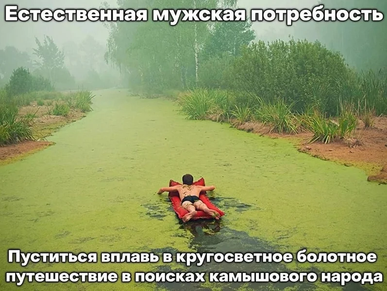 Иногда мужчине нужно просто уйти… по болоту… в никуда… к камышовому братству.