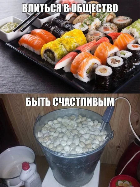 Социальные нормы говорят "суши", но душа кричит "ведро пельменей с кипятильником".