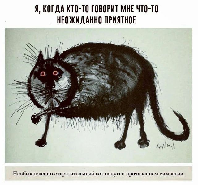 Необыкновенно отвратительный кот напуган проявлением симпатии.