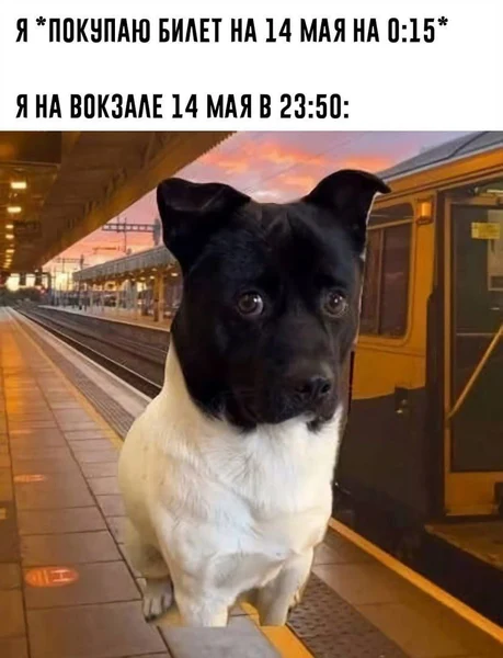 Эта боль знакома каждому, кто не выспался и купил билет на 0:15