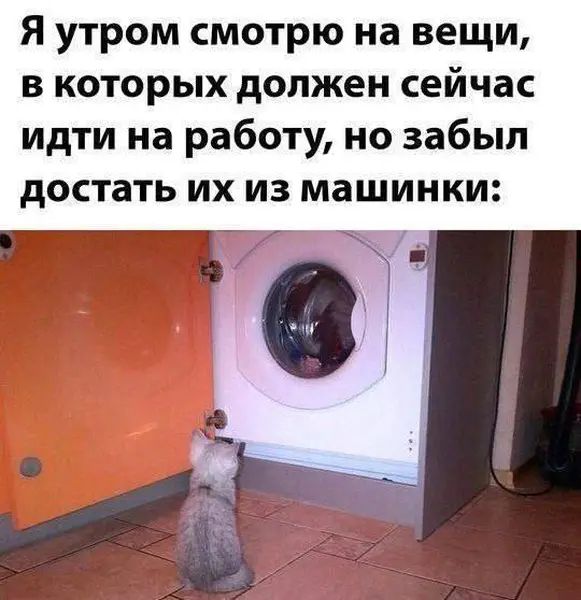 Одежда есть, но надеть её нельзя.