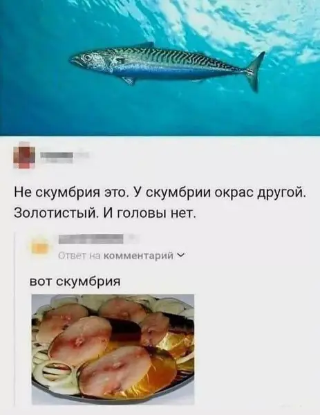 Когда споришь в интернете про скумбрию и показываешь только копчёную.