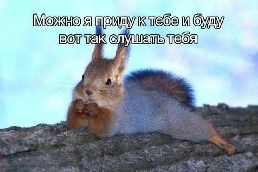 Когда хочется просто быть рядом и слушать 🐿️💭