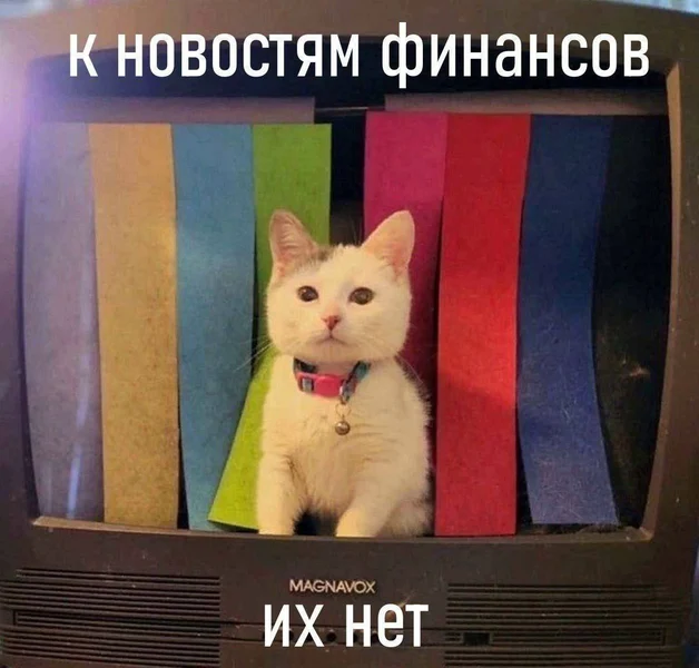 Финансовый прогноз: стабильность отсутствует.