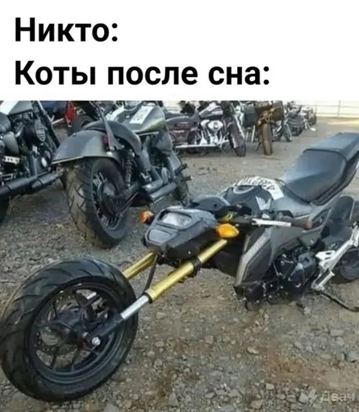 Когда проснулся и растянулся как мог