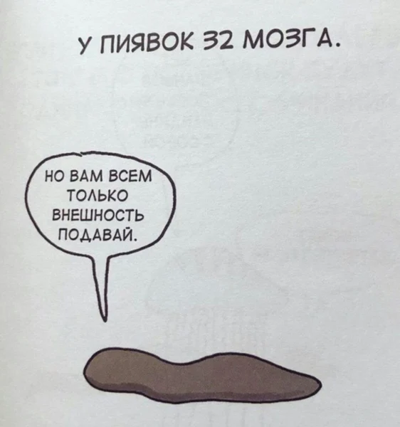 Пиявка умнее, чем кажется, но кому это нужно?