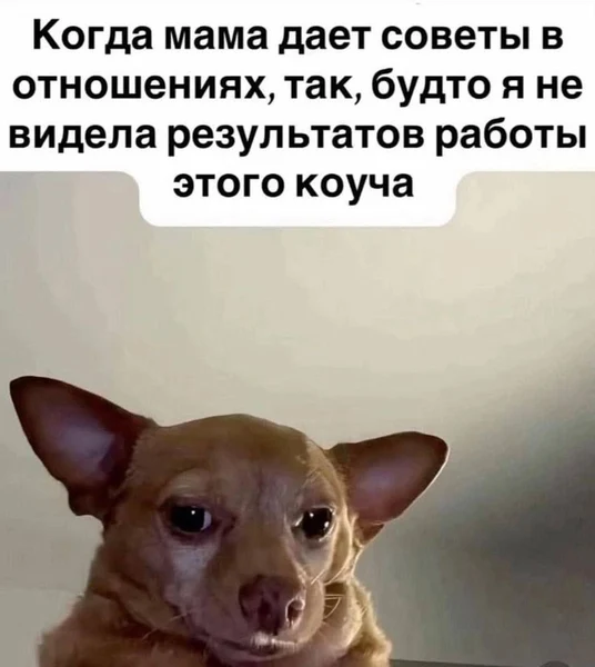 Лучший «коуч» по отношениям — мама, у которой три развода 😏