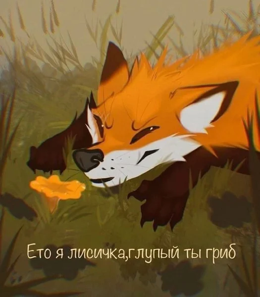 Когда хотел комплимент, а получил квест на самоунижение.