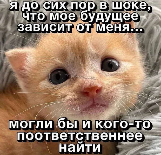 Когда понимаешь, что ты и есть главный ответственный за свою жизнь. Не лучшая кандидатура.