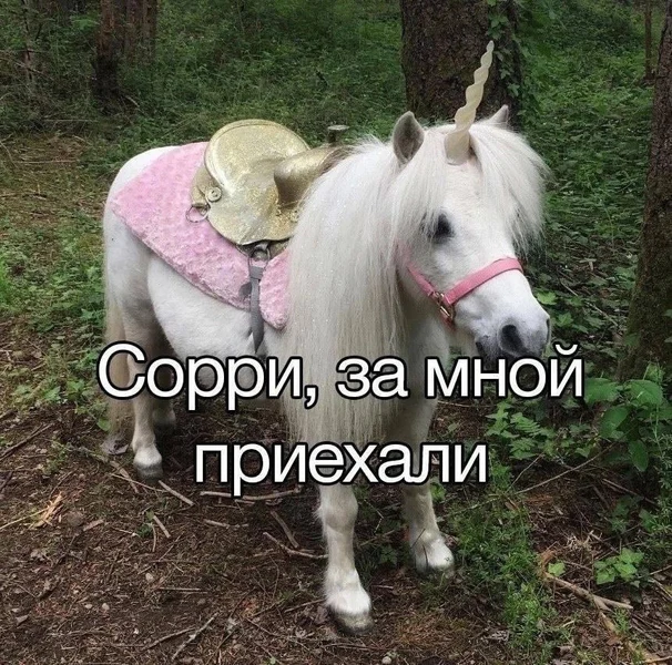 Когда такси слишком волшебное, чтобы отменить