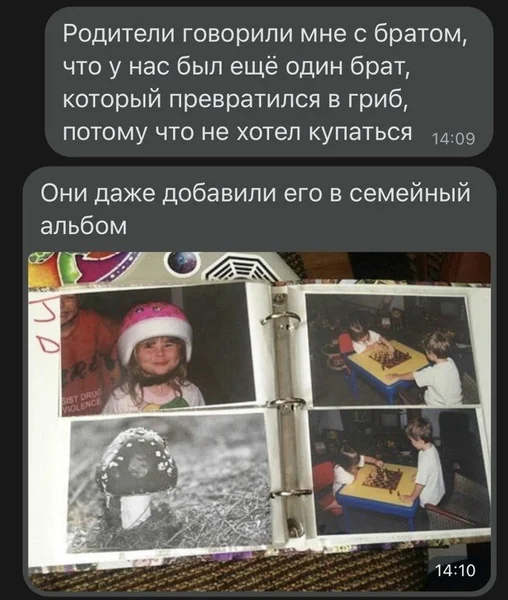 Когда гигиена — это вопрос жизни и вида. 🍄