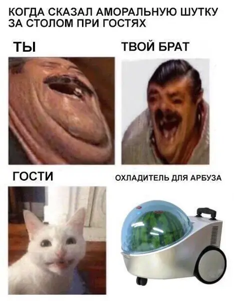 Когда шутишь за столом слишком жёстко — и сразу нужен охладитель для арбуза