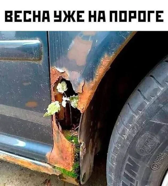Природа всегда найдёт путь. Даже через ржавый порог.