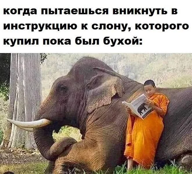Когда заходишь на Авито под шаурмой и пивком, а потом утром вот так.
