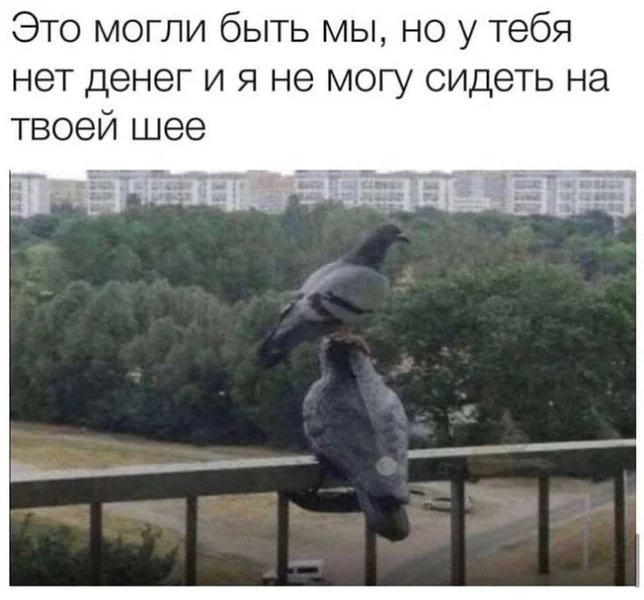 Когда хочется «любви», но шея не выдерживает 🕊️💸
