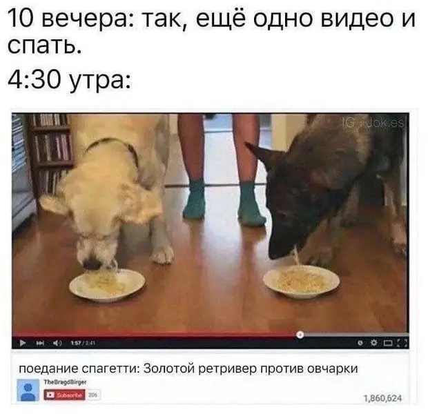 Так выглядит каждый вечер в интернете