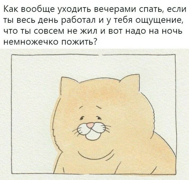 Когда работаешь целый день, а жить получается только ночью