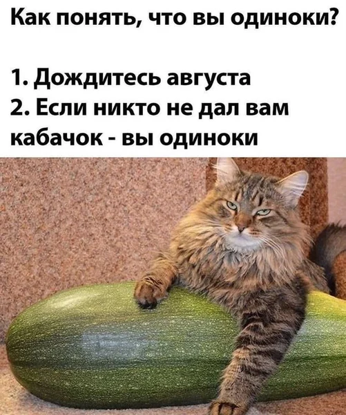 Проверка на одиночество: август, кабачки и тишина
