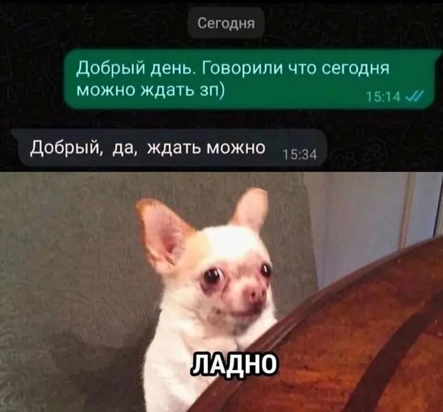 Когда ждал зарплату, а получил философский ответ