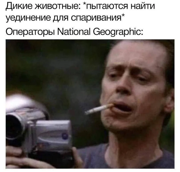 National Geographic не спит