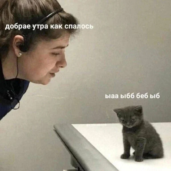 Мем #868