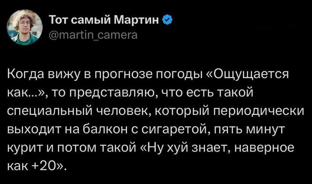 Главный метеоролог страны: «Ну, хз, где-то плюс двадцать, наверное».
