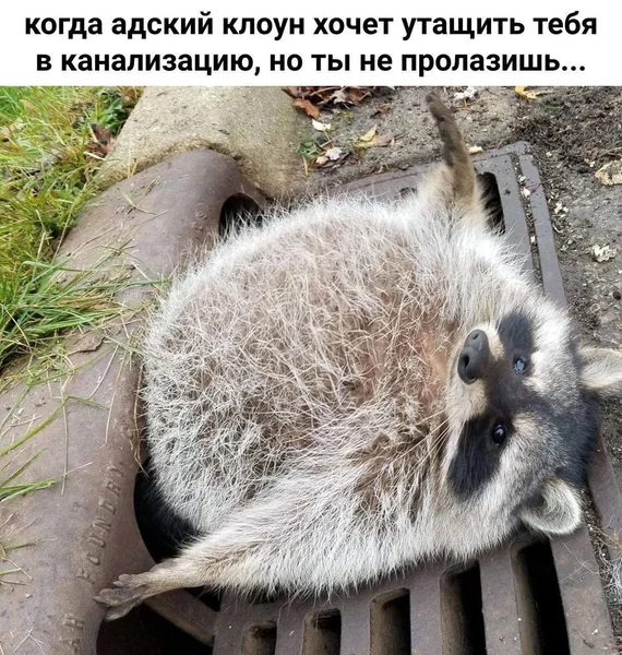 Плюсы зимнего жира — безопасность в любой ситуации