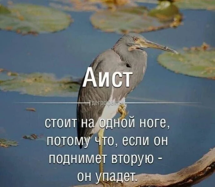 Когда наконец понял смысл жизни