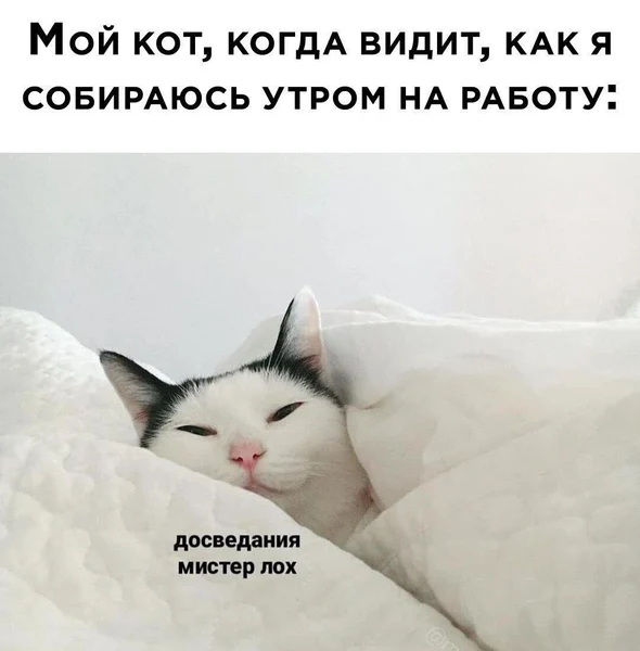 Он не работает, не платит налоги и всё равно чувствует себя лучше меня.