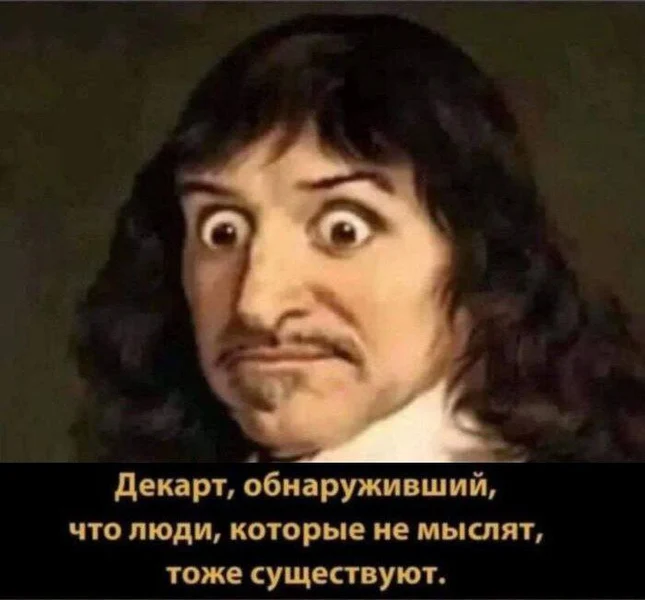 Когда живёшь по принципу «мыслю — существую», а потом заходишь в комментарии в интернете 💀