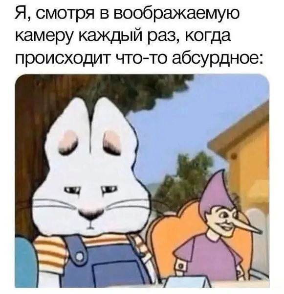 Когда жизнь снова решила стать комедией без сценария.