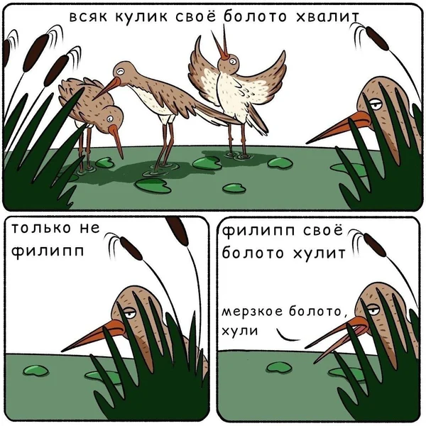 Все хвалят своё болото, а Филипп — профессиональный критик среды обитания