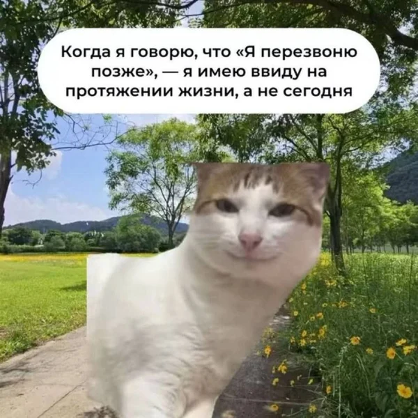 Обещание «позже» — это не ложь, это просто философская неопределённость времени 😌
