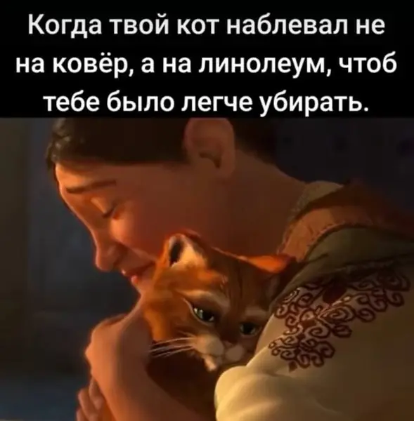 Когда у кота не только инстинкты, но и уважение к труду