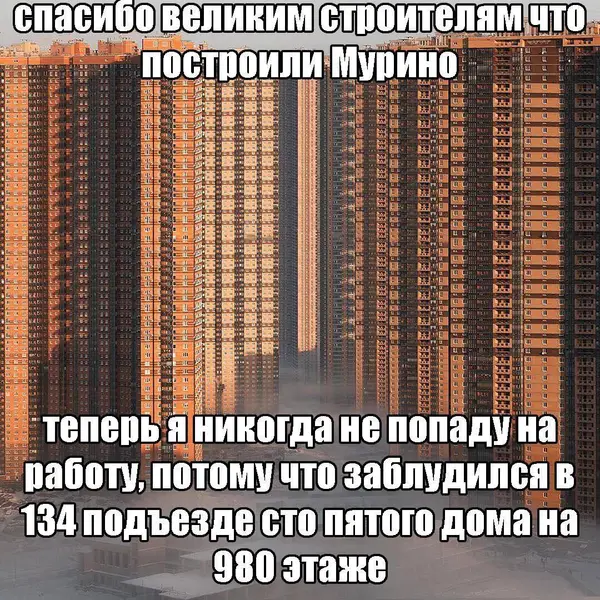 Мурино — это не район, это квест без финала