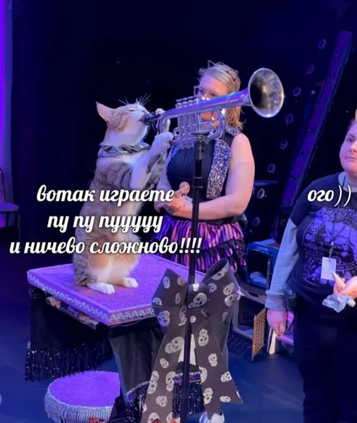 Главное — верить в себя и пууууу!