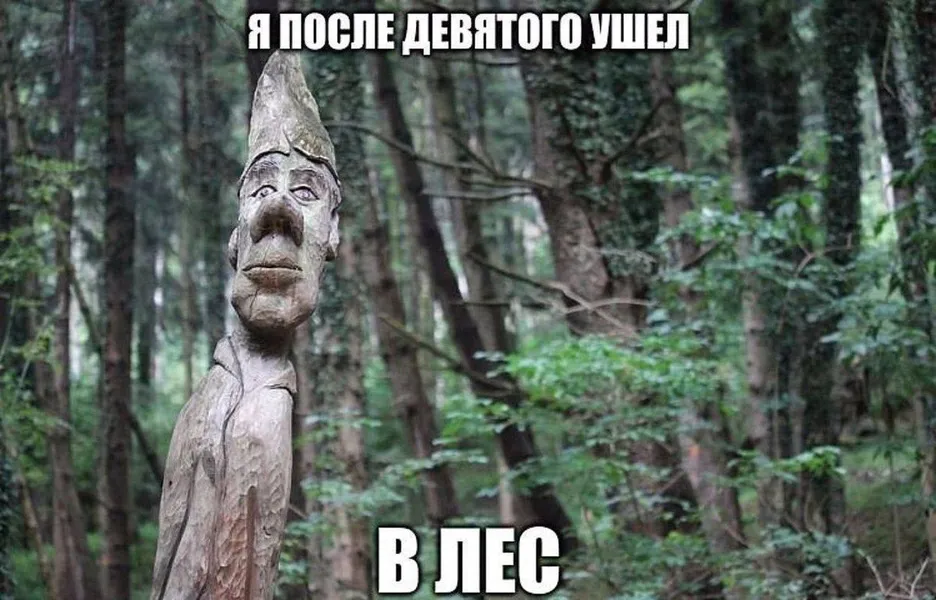 Некоторые идут в колледж, а я — в мох и тишину.