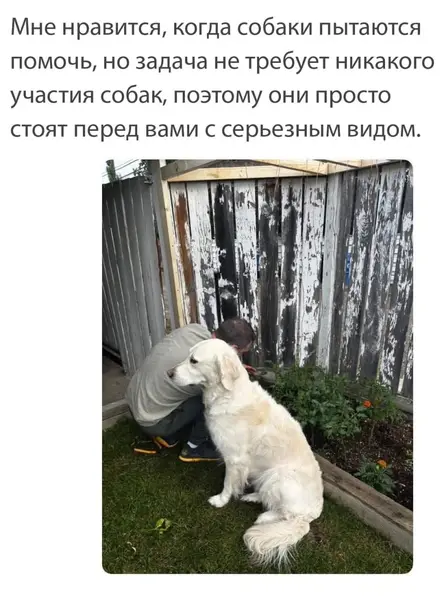 Главное — моральная поддержка. И чтобы всё под контролем