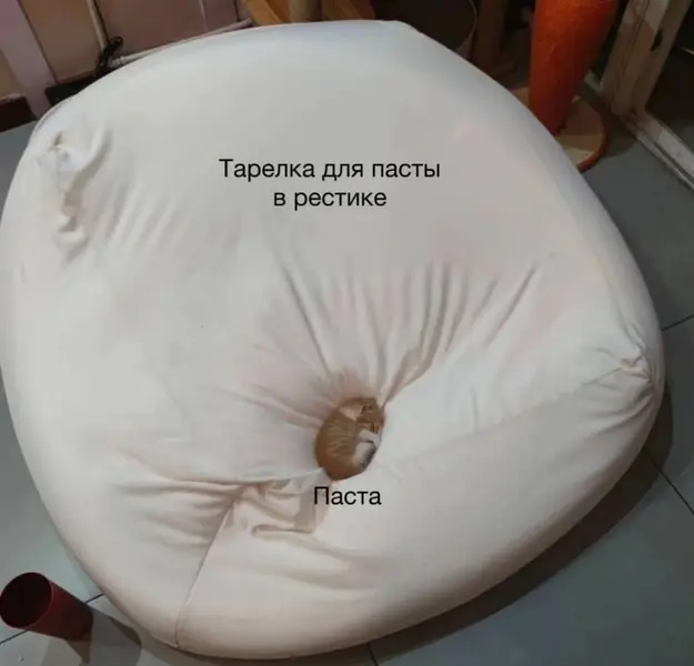 Когда 90% блюда — это тарелка
