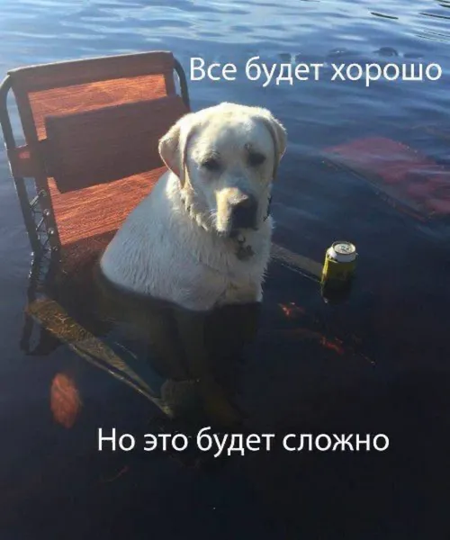 Когда вселенная обещает, что всё наладится, но не уточняет — когда именно.