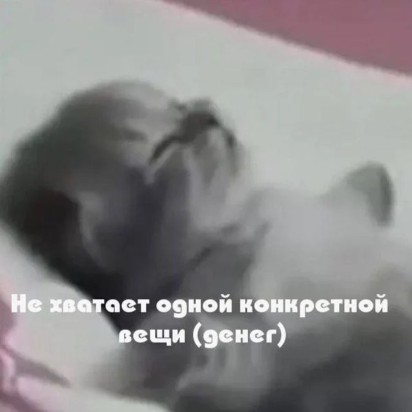 Когда вроде бы всё есть — покой, уют, одеяло… и пустой счёт