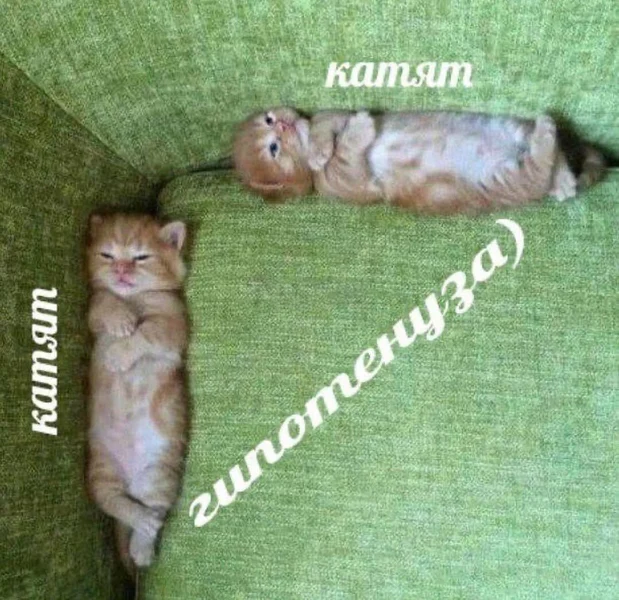 Теорема Пифагорушка