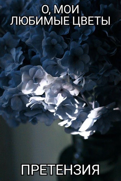 Цветут не чувства, а недосказанности.