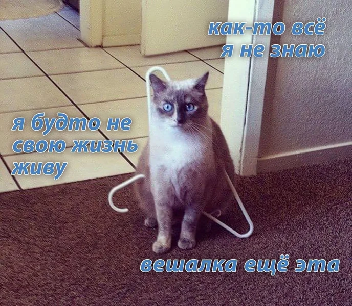 Вешалка судьбы обвилась вокруг меня.