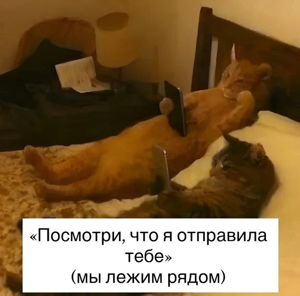 Любовь в эпоху Wi-Fi.