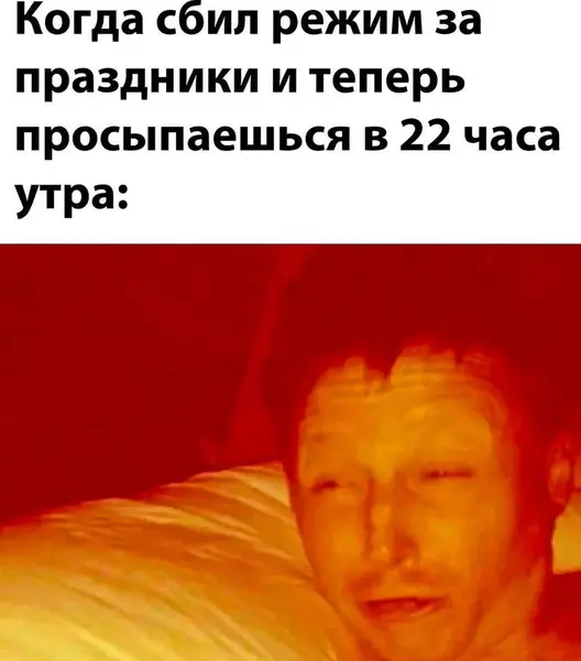 Проснулся, потянулся... а уже ночь.