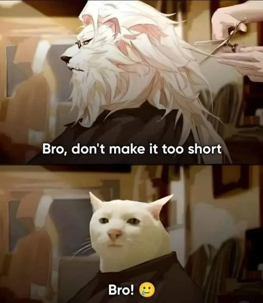 Когда барбер услышал всё, кроме твоих слов.