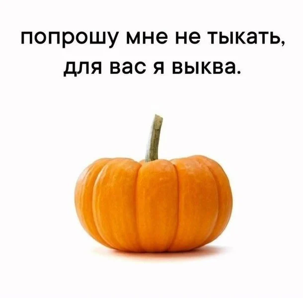 Вежливая тыква — это уровень осознания, к которому я стремлюсь.